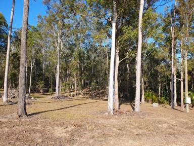 Farm Sold - QLD - Bauple - 4650 - NEED TO SELL NOW  (Image 2)