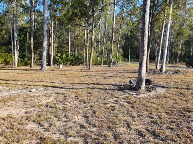 Farm Sold - QLD - Bauple - 4650 - NEED TO SELL NOW  (Image 2)