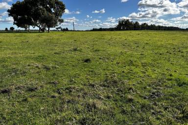 Farm Sold - WA - Wagerup - 6215 - Cattle Country for Farming  (Image 2)