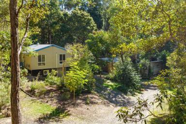 Farm Sold - QLD - Eumundi - 4562 - Character Home Surrounded by Natural Beauty  (Image 2)