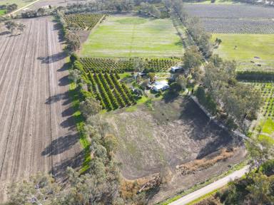 Farm For Sale - VIC - Murrabit - 3579 - LIFE ON THE RIVER  (Image 2)