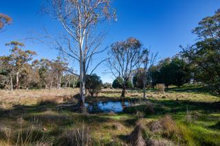 35 Hewitts Lane, Grabben Gullen NSW 2583