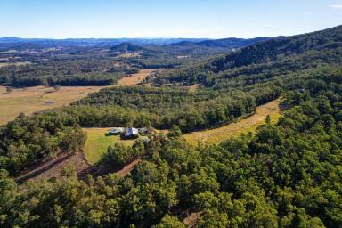 Farm For Sale - NSW - Nabiac - 2312 - Off- Grid Rural Seclusion with 360- Degree Scenic Views  (Image 2)