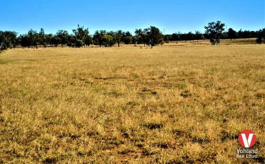 Farm Auction - QLD - Dulacca - 4425 - Choice breeding and fattening country  (Image 2)