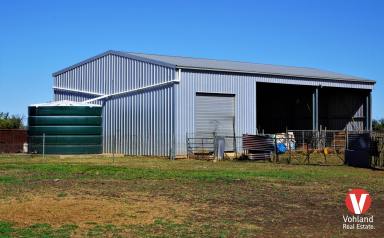 Farm Auction - QLD - Dulacca - 4425 - Choice breeding and fattening country  (Image 2)