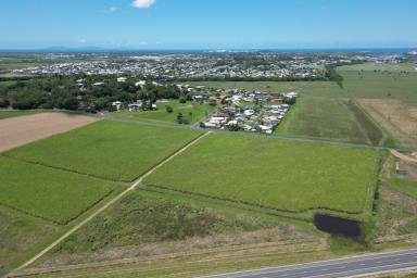 Farm Sold - QLD - Glenella - 4740 - ANOTHER LIFESTYLE BLOCK SOLD by PETER FRANCIS  (Image 2)
