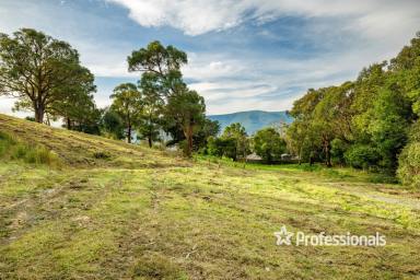 Farm Sold - VIC - Yarra Junction - 3797 - VIEWS FOR DAYS!  (Image 2)