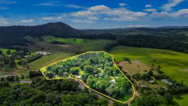 Farm Sold - QLD - Julatten - 4871 - TOP OF THE RANGE - GREAT INCOME ON 6.96 ACRES PLUS POTENTIAL TO EXPAND  (Image 2)