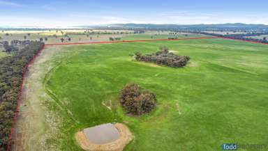 Farm Sold - VIC - Moormbool West - 3523 - 272 ACRES – MOORMBOOL GRAZING LAND  (Image 2)