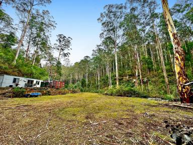 Farm Sold - NSW - Laguna - 2325 - Wilderness Weekender Retreat  (Image 2)