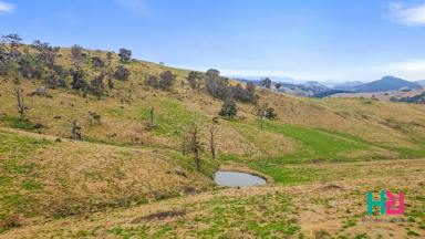 Farm For Sale - NSW - Lowther - 2790 - "Mulyang"  (Image 2)
