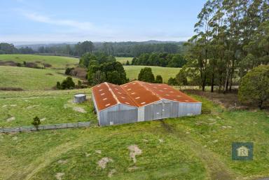 Farm Sold - VIC - Beech Forest - 3237 - A slice of Paradise...  (Image 2)