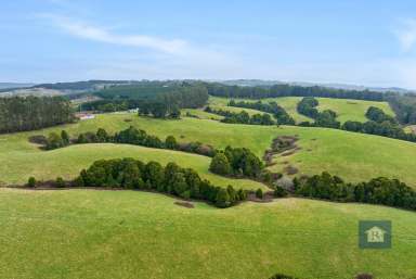 Farm Sold - VIC - Beech Forest - 3237 - A slice of Paradise...  (Image 2)