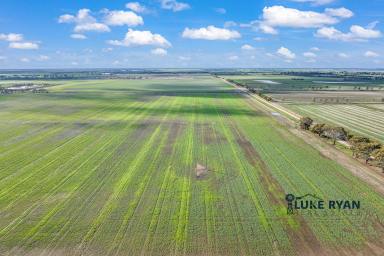 Farm Sold - VIC - Corop - 3559 - 625 ACRES OF CROPPING LAND  (Image 2)