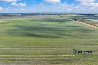 Farm Sold - VIC - Corop - 3559 - 625 ACRES OF CROPPING LAND  (Image 2)