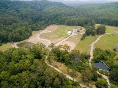 Farm For Sale - NSW - Nana Glen - 2450 - Magnificent Wild Guy Station  (Image 2)