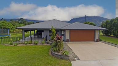 Farm Sold - QLD - Aloomba - 4871 - Most Beautiful Home in Aloomba - 10x18 metre Shed - 3 Acres  (Image 2)