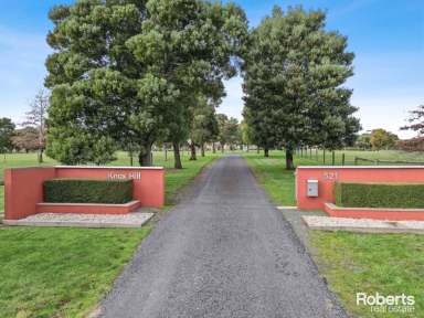 Farm For Sale - TAS - Relbia - 7258 - 'KNOX HILL' - A STYLISH HOMESTEAD IN PICTURESQUE RELBIA  (Image 2)