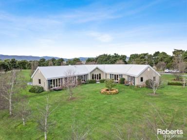 Farm For Sale - TAS - Relbia - 7258 - 'KNOX HILL' - A STYLISH HOMESTEAD IN PICTURESQUE RELBIA  (Image 2)