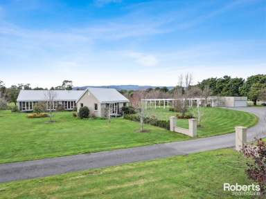 Farm For Sale - TAS - Relbia - 7258 - 'KNOX HILL' - A STYLISH HOMESTEAD IN PICTURESQUE RELBIA  (Image 2)