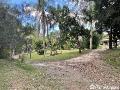 Farm Sold - QLD - Hampden - 4741 - Quiet Country Lifestyle, in Hampden  (Image 2)