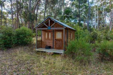 Farm Sold - VIC - Strathbogie - 3666 - Bush Retreat With Cabin, Creek and Sealed Road Access  (Image 2)