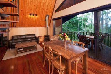 Farm For Sale - QLD - Butchers Creek - 4885 - Outstanding Ecotourism Opportunity  (Image 2)