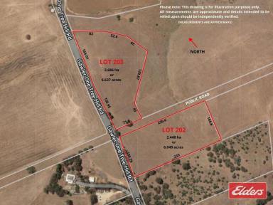 Farm For Sale - SA - Gawler - 5118 - WHICH ONE WILL YOU CHOOSE TO LIVE THE COUNTRY LIFESTYLE  (Image 2)
