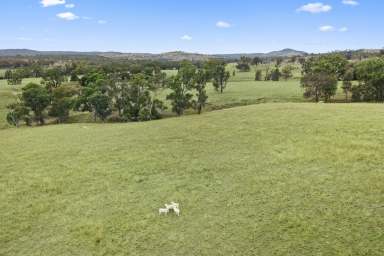 Farm Sold - QLD - Inglewood - 4387 - "Keilah" A Versatile Property  (Image 2)