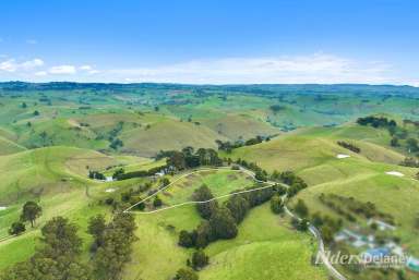 Farm For Sale - VIC - Mountain View - 3988 - SPECTACULAR MOUNTAIN VIEW  (Image 2)