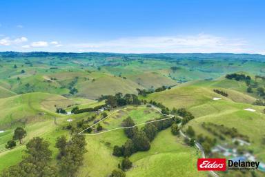 Farm For Sale - VIC - Mountain View - 3988 - SPECTACULAR MOUNTAIN VIEW  (Image 2)