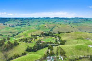 Farm For Sale - VIC - Mountain View - 3988 - SPECTACULAR MOUNTAIN VIEW  (Image 2)