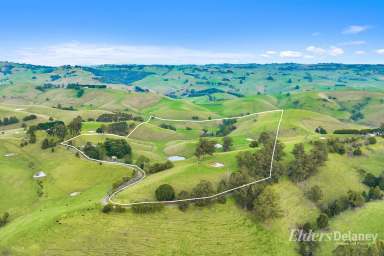 Farm For Sale - VIC - Mountain View - 3988 - SOLID COUNTRY RESIDENCE ON 84 ACRES GRAZING  (Image 2)