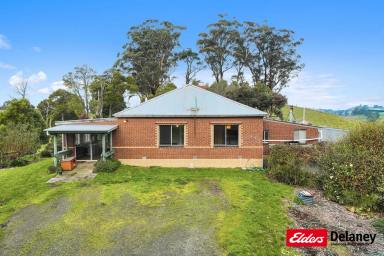 Farm For Sale - VIC - Mountain View - 3988 - SOLID COUNTRY RESIDENCE ON 84 ACRES GRAZING  (Image 2)