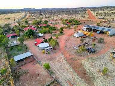 Farm Sold - NT - Anmatjere - 0872 - Cattle Breeding & Fodder Production Opportunity  (Image 2)