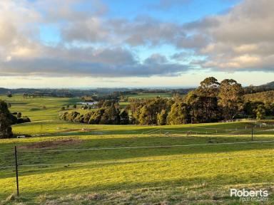 Farm For Sale - TAS - Upper Natone - 7321 - Ideal for animals and enjoying the rural landscape  (Image 2)