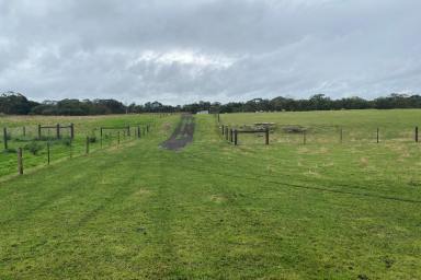 Farm Sold - SA - Millicent - 5280 - Back on the market - If you missed out the first time!  (Image 2)