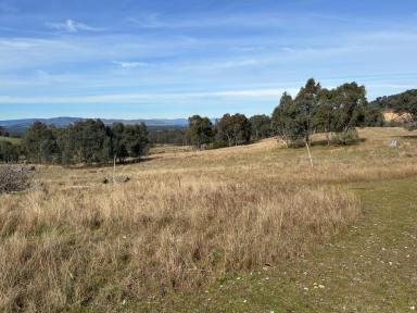 Farm Auction - NSW - Table Top - 2640 - “Opportunity knocks, former Clay target club home is seeking new owner.”  (Image 2)