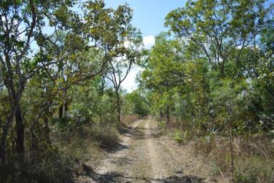 Farm Sold - NT - Darwin River - 0841 - 160 Acres  opportunity  (Image 2)