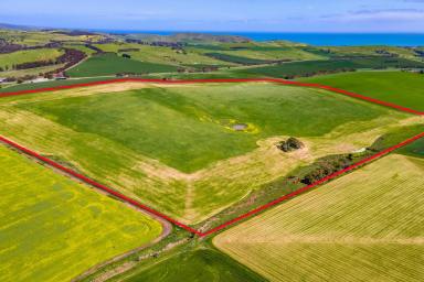 Farm For Sale - SA - Hay Flat - 5204 - Prime Lifestyle/Rural Land in Hay Flat  (Image 2)