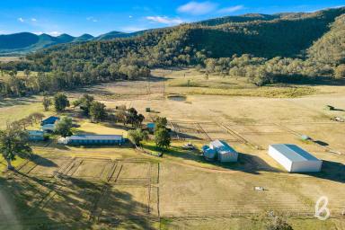 Farm Sold - NSW - Martindale - 2328 - BYLONG PARK | VERSATILE RURAL HOLDING WITH EQUINE FACILITIES  (Image 2)