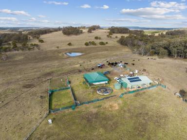 Farm Sold - NSW - Marulan - 2579 - Great Country, Multiple Uses  (Image 2)