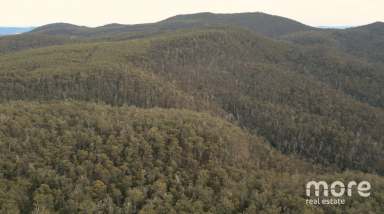 Farm Sold - TAS - Colebrook - 7027 - Colebrook Bush Escape  (Image 2)