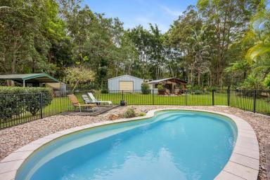 Farm Sold - QLD - Verrierdale - 4562 - Tudor Style Cottage Oozing With Charm  (Image 2)
