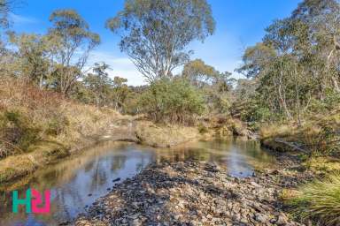 Farm For Sale - NSW - Portland - 2847 - "Wattlemount Rise" - 419 Acres (169 Hectares)  (Image 2)