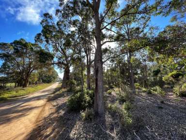 Farm Sold - WA - Porongurup - 6324 - Serene Bushland Retreat in the Porongurups  (Image 2)