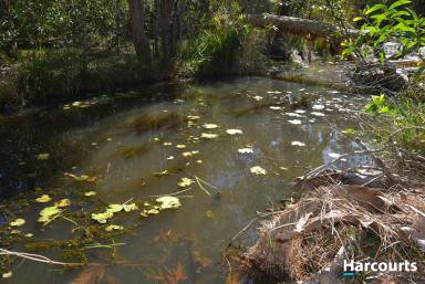Farm Sold - QLD - Horton - 4660 - 152 ACRE BUSH RETREAT WITH GOOD WATER  (Image 2)