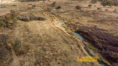 Farm Sold - NSW - Rylstone - 2849 - AVAILABLE IN ONE LINE OR AS THREE SEPARATE LOTS  (Image 2)
