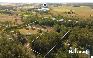 Farm Sold - QLD - South Isis - 4660 - ANOTHER SLICE OF GODS COUNTRY!  (Image 2)