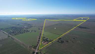 Farm Sold - VIC - Towaninny - 3527 - Towaninny Cropping & Grazing Land  (Image 2)